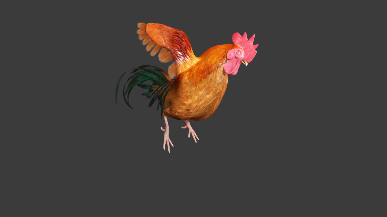 Chicken Rigged 3D model 3D model_6