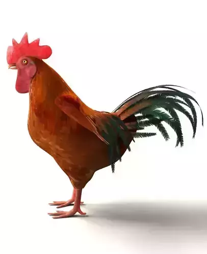 Chicken Rigged 3D model