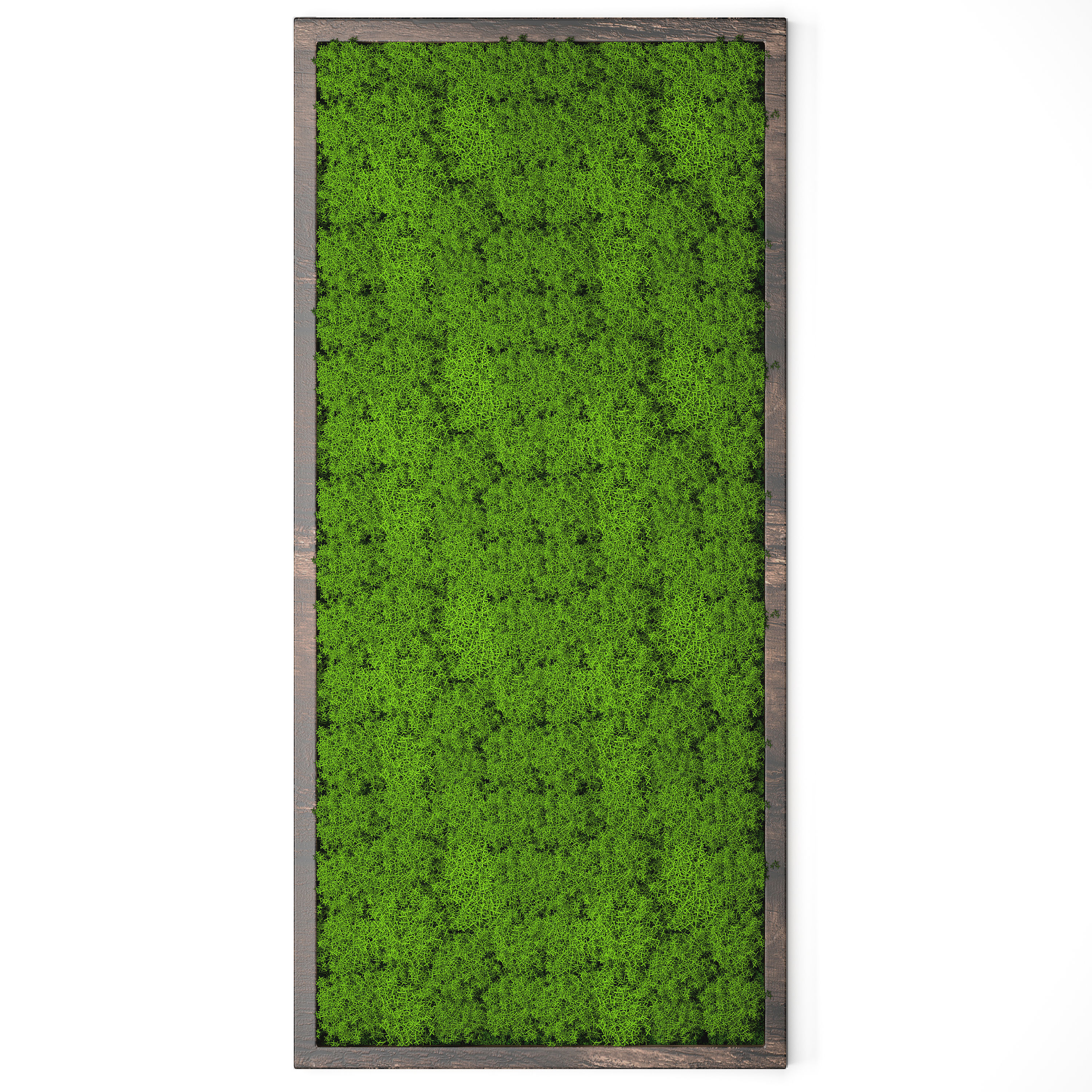 Stabilized moss 15 3D model_1