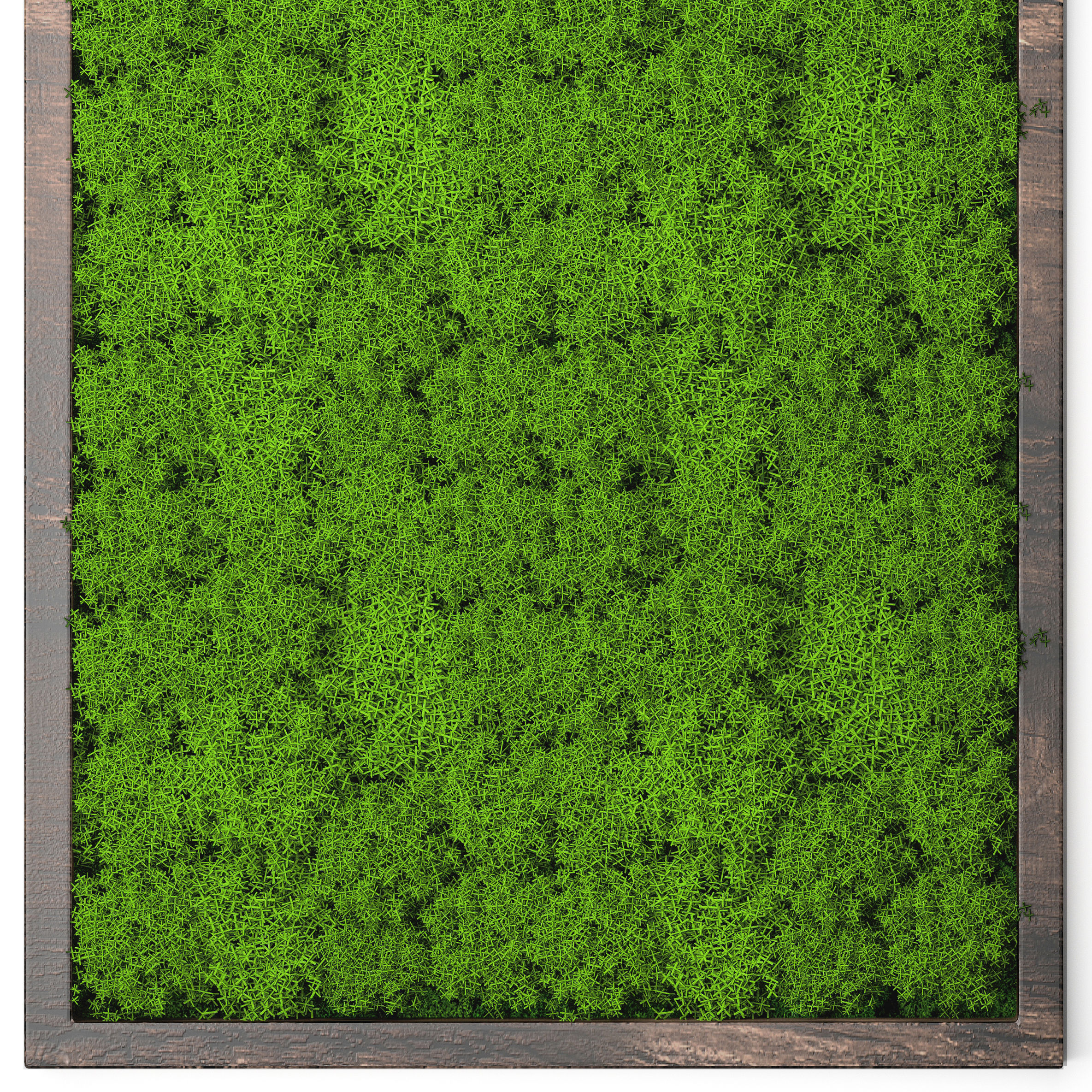 Stabilized moss 15 3D model_6