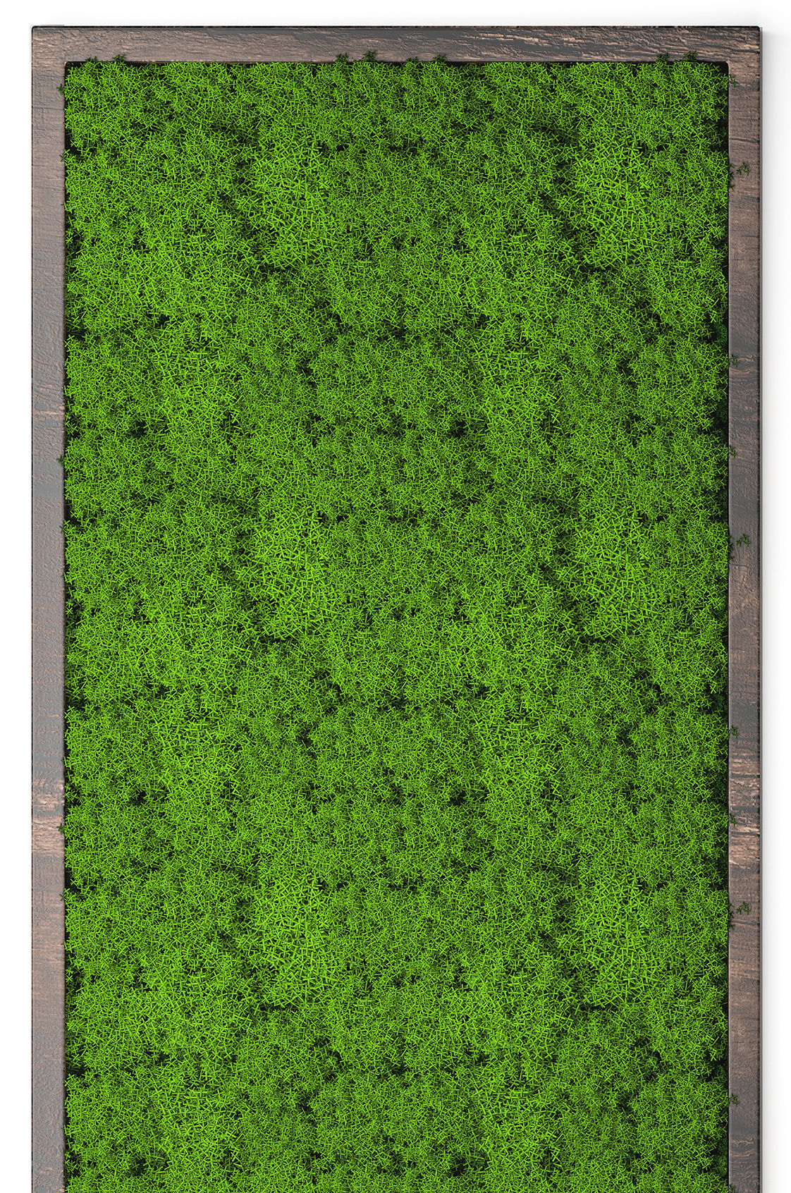 Stabilized moss 15 3D model_5