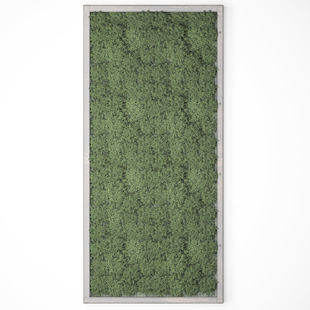 Stabilized moss 15 3D model_7