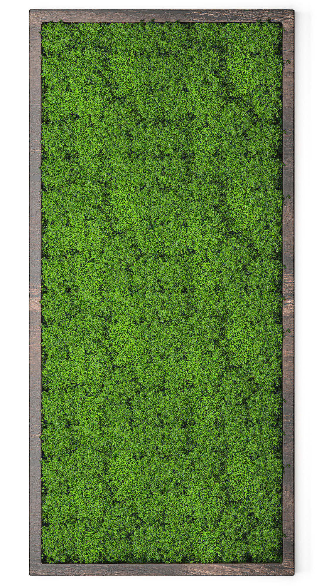 Stabilized moss 15 3D model_3