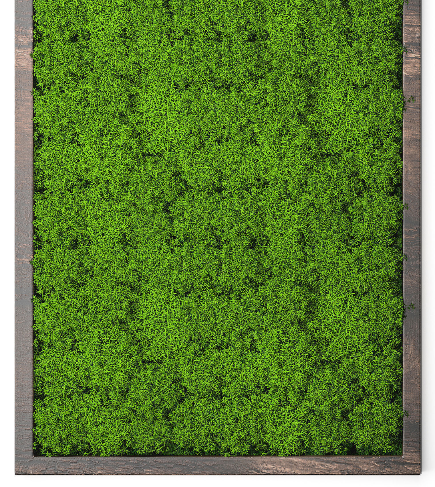 Stabilized moss 15 3D model_4