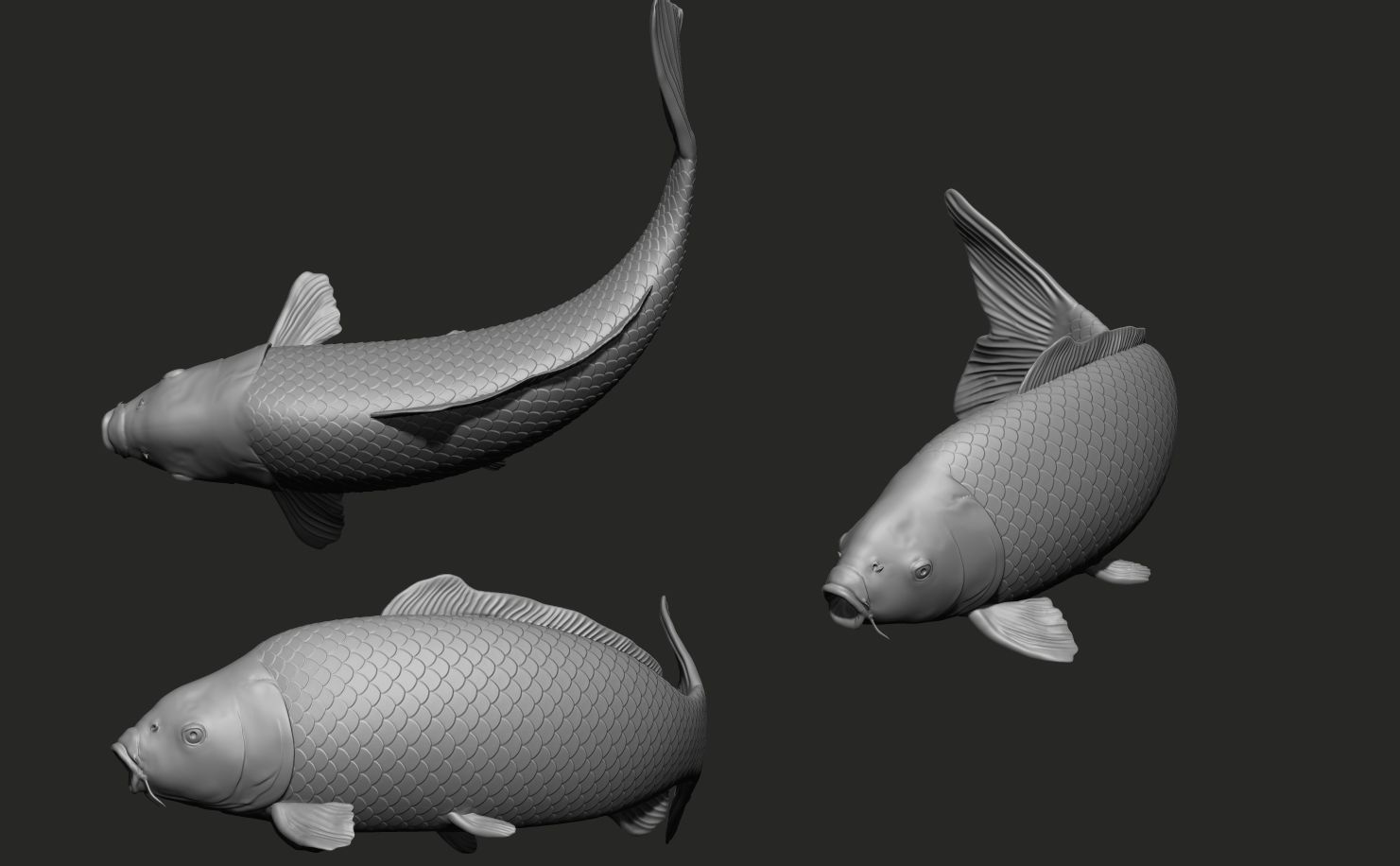 Fish Koi set 7 poses 3d models 3D print model_3