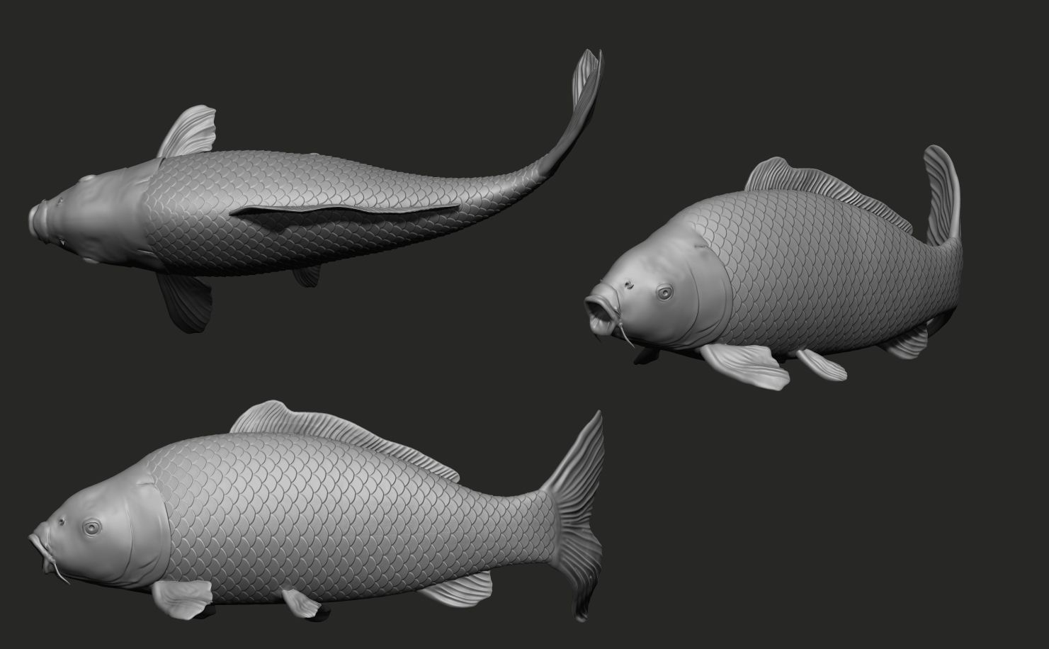 Fish Koi set 7 poses 3d models 3D print model_6