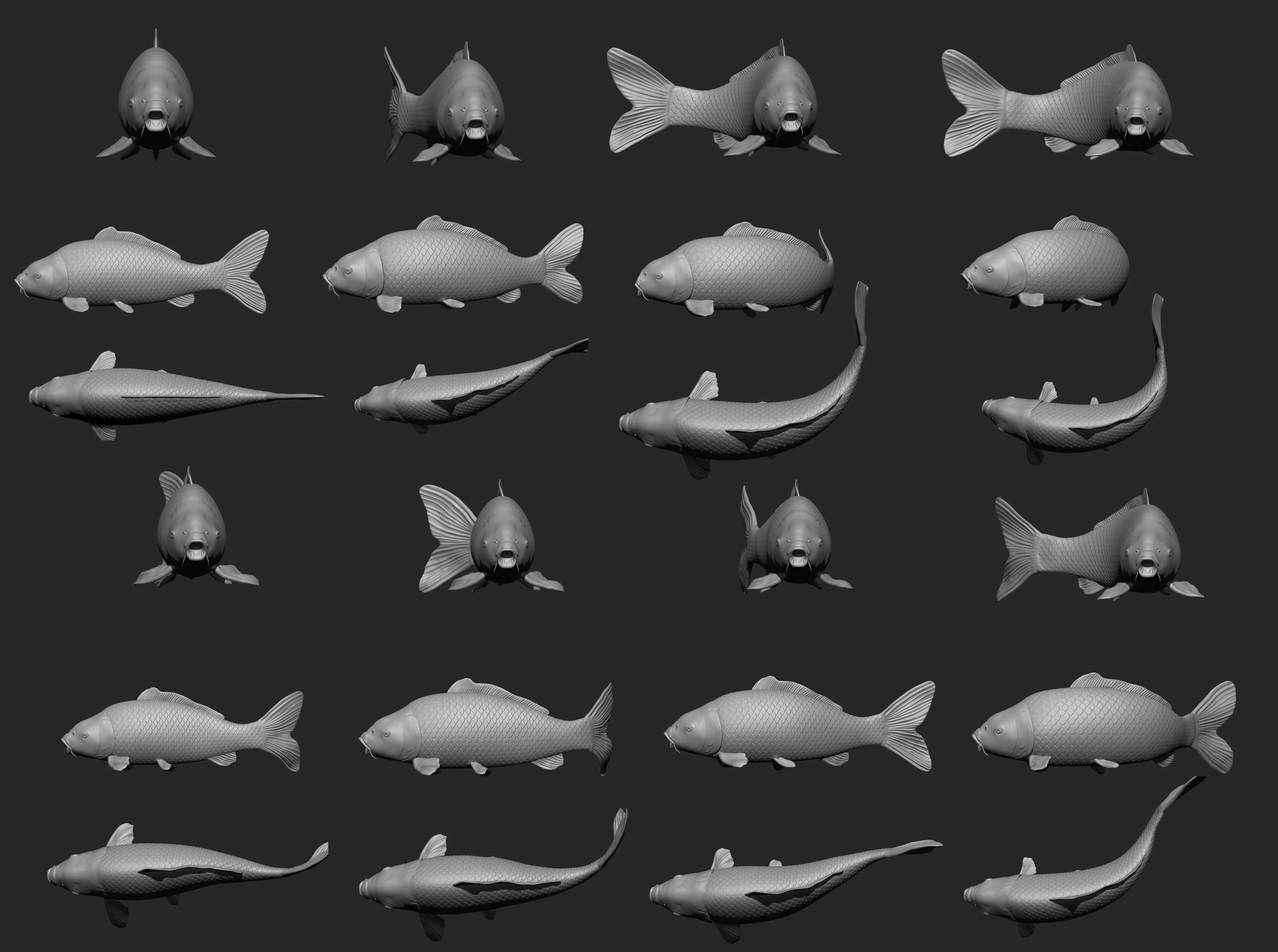 Fish Koi set 7 poses 3d models 3D print model_0