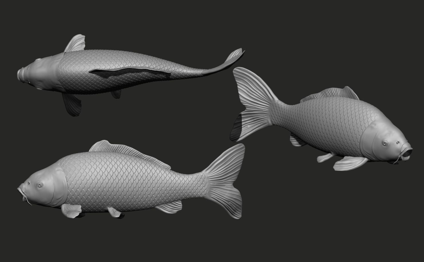 Fish Koi set 7 poses 3d models 3D print model_5