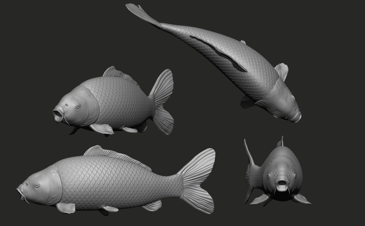 Fish Koi set 7 poses 3d models 3D print model_2