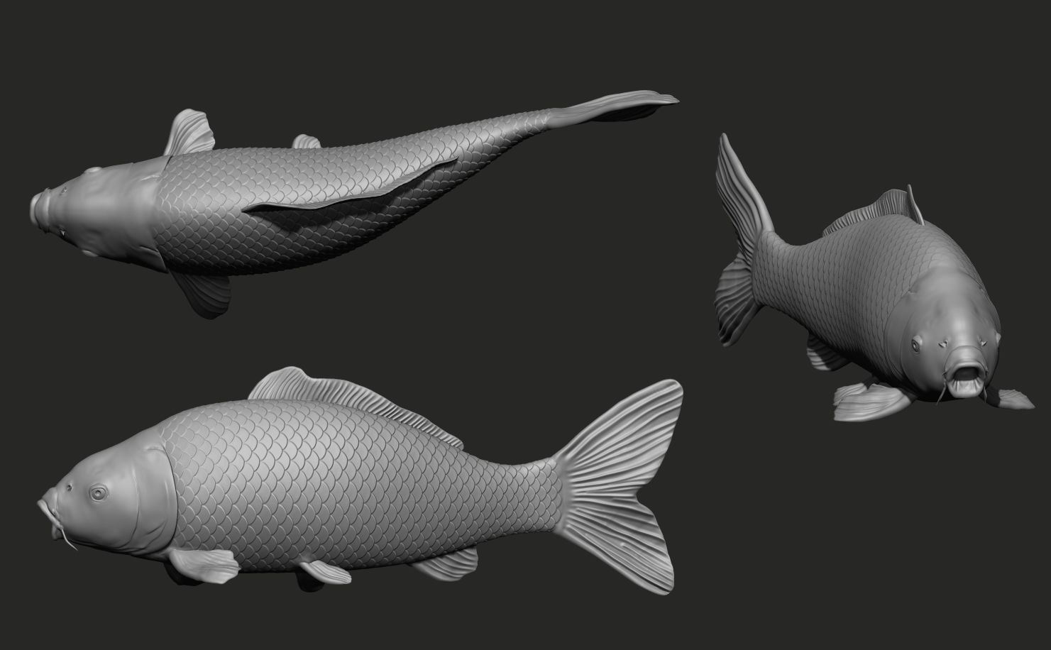 Fish Koi set 7 poses 3d models 3D print model_7
