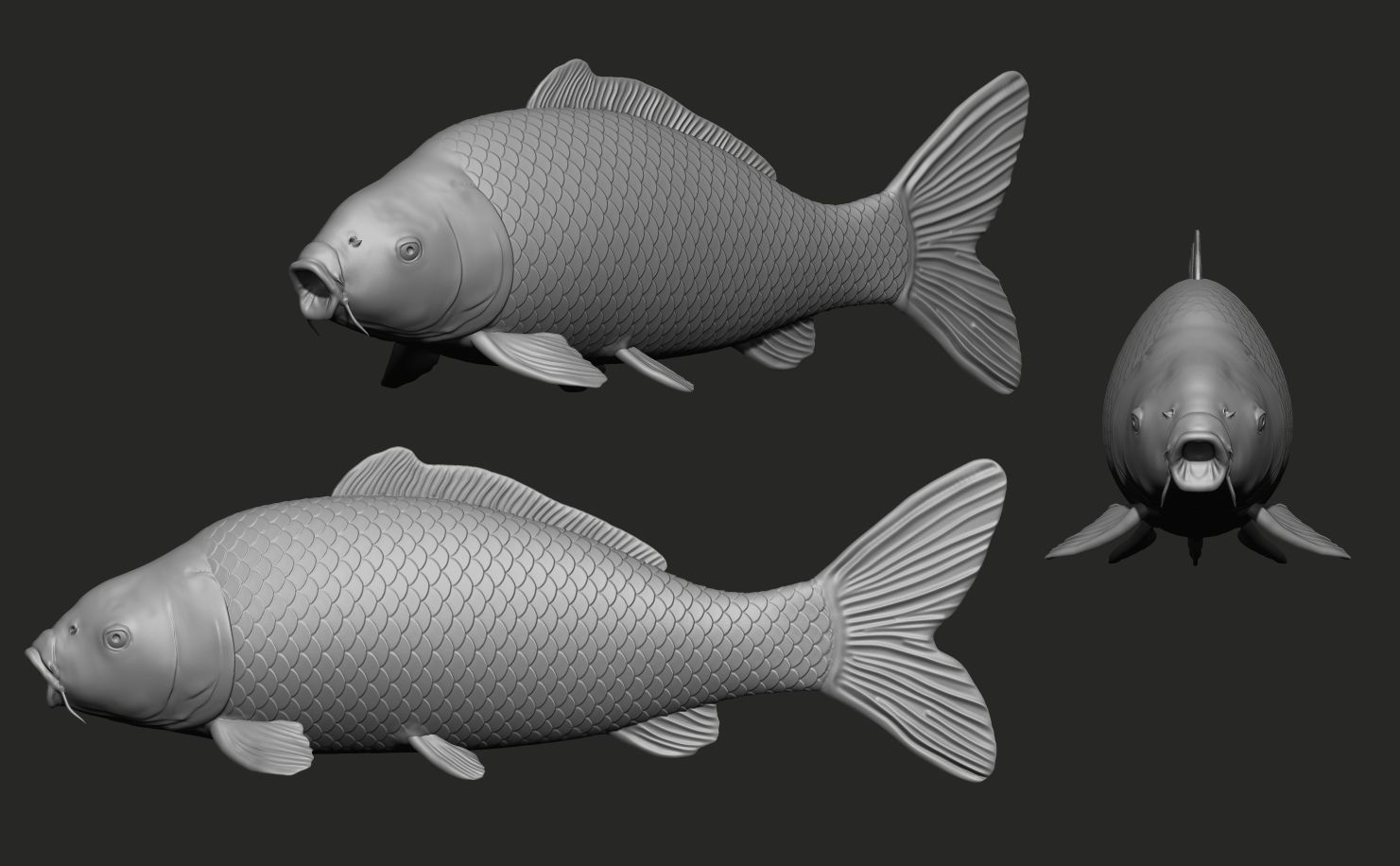 Fish Koi set 7 poses 3d models 3D print model_1