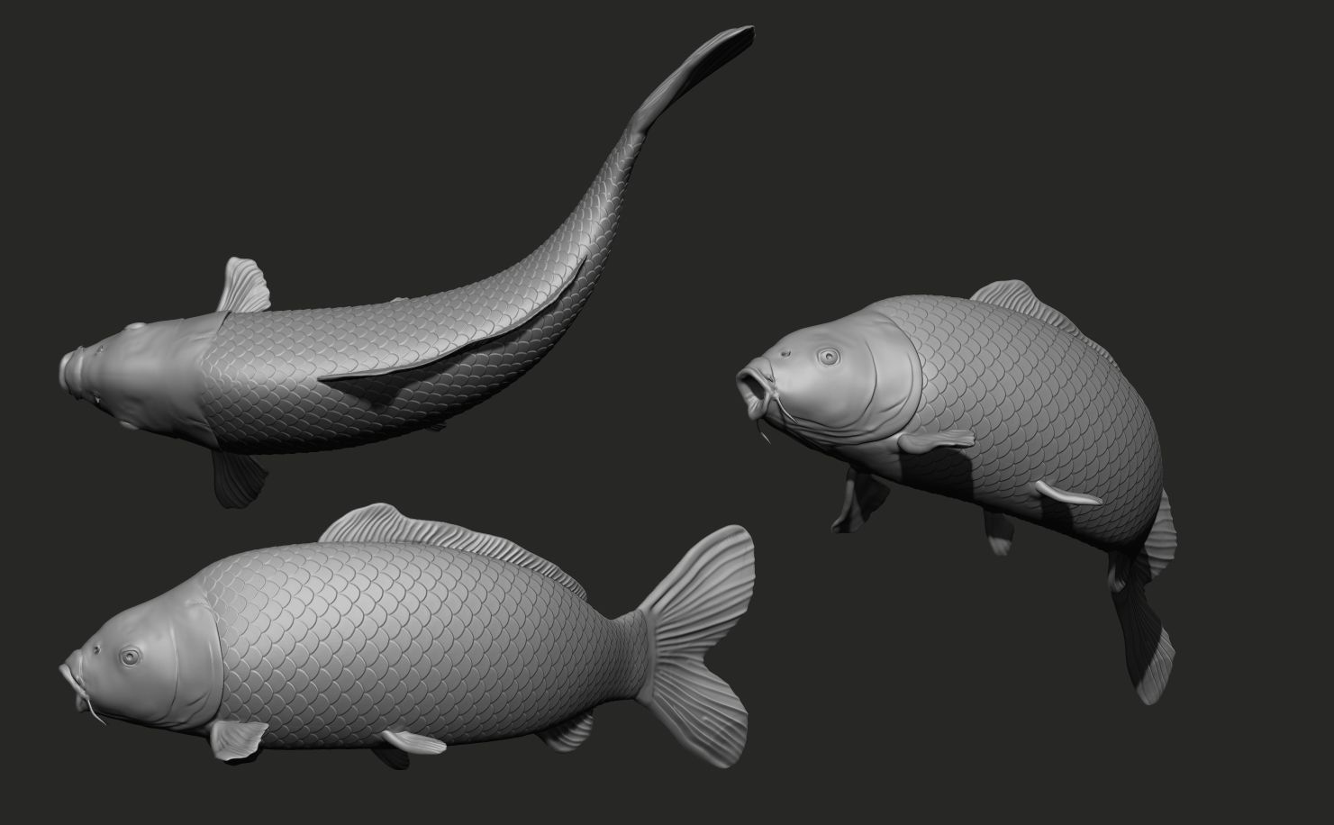 Fish Koi set 7 poses 3d models 3D print model_8