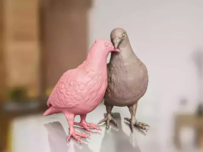 Couple Dove Pigeon Toy 3D print model