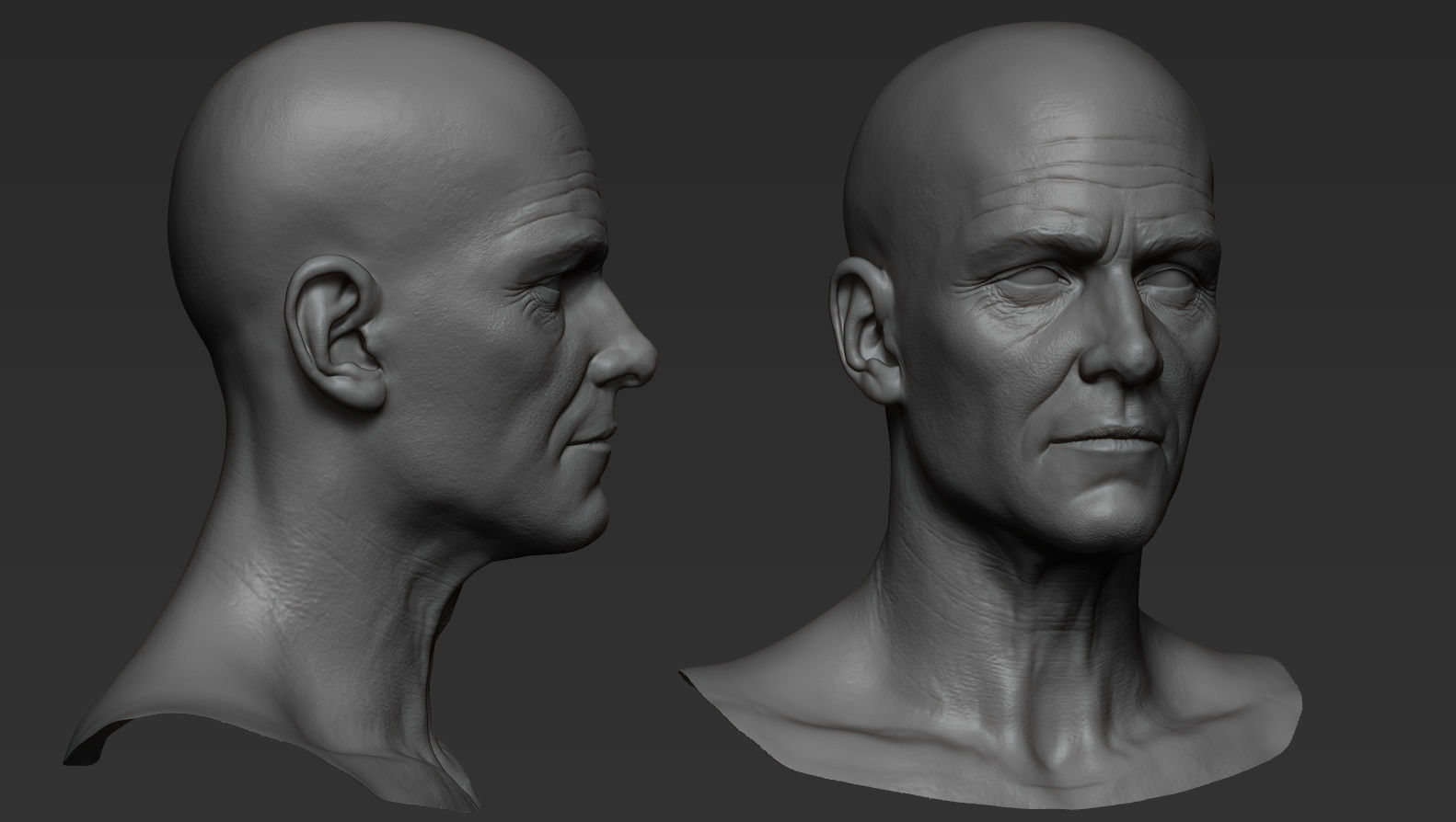 Male face 50 year old Base sculpt 3D model | CGTrader