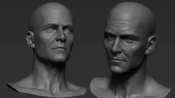 Male face  50 year old  Base sculpt 3D model