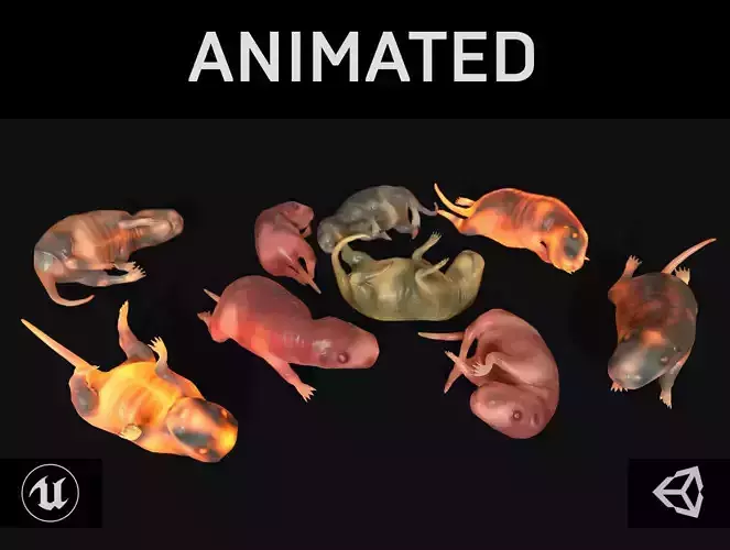 Cub Rat Low-poly 3D model