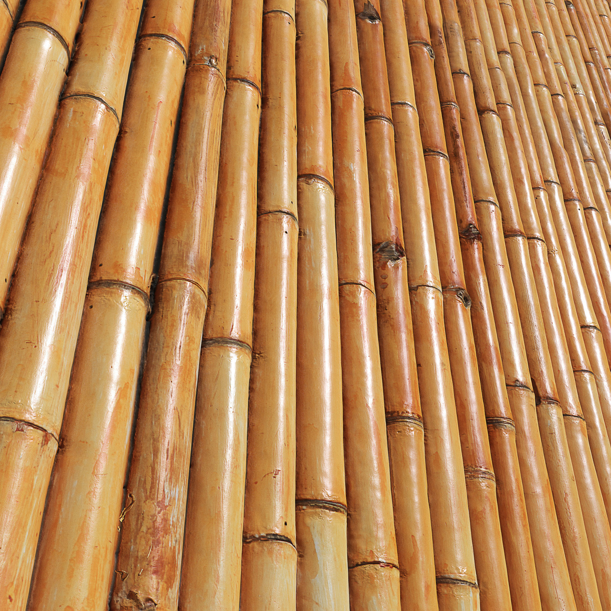 Ultra realistic Bamboo Fence 3D model_1