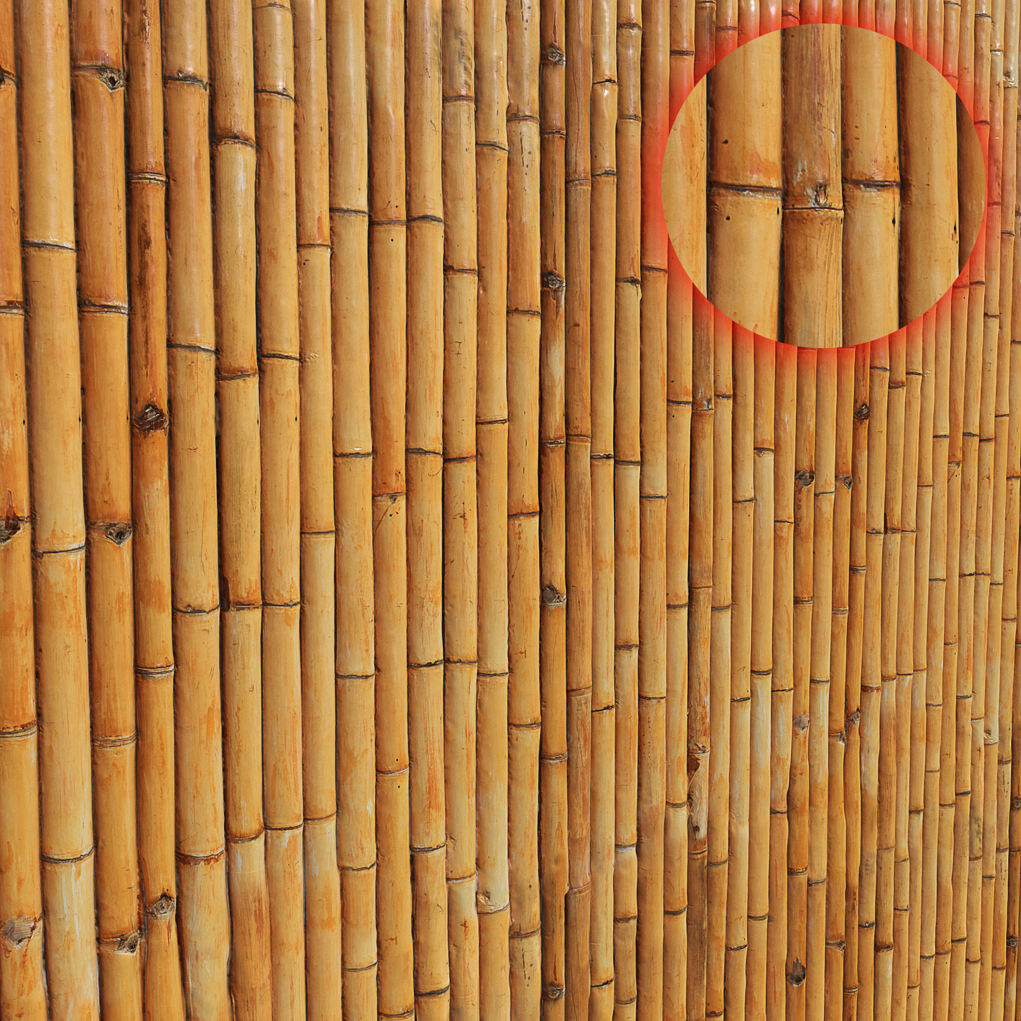Ultra realistic Bamboo Fence 3D model_2