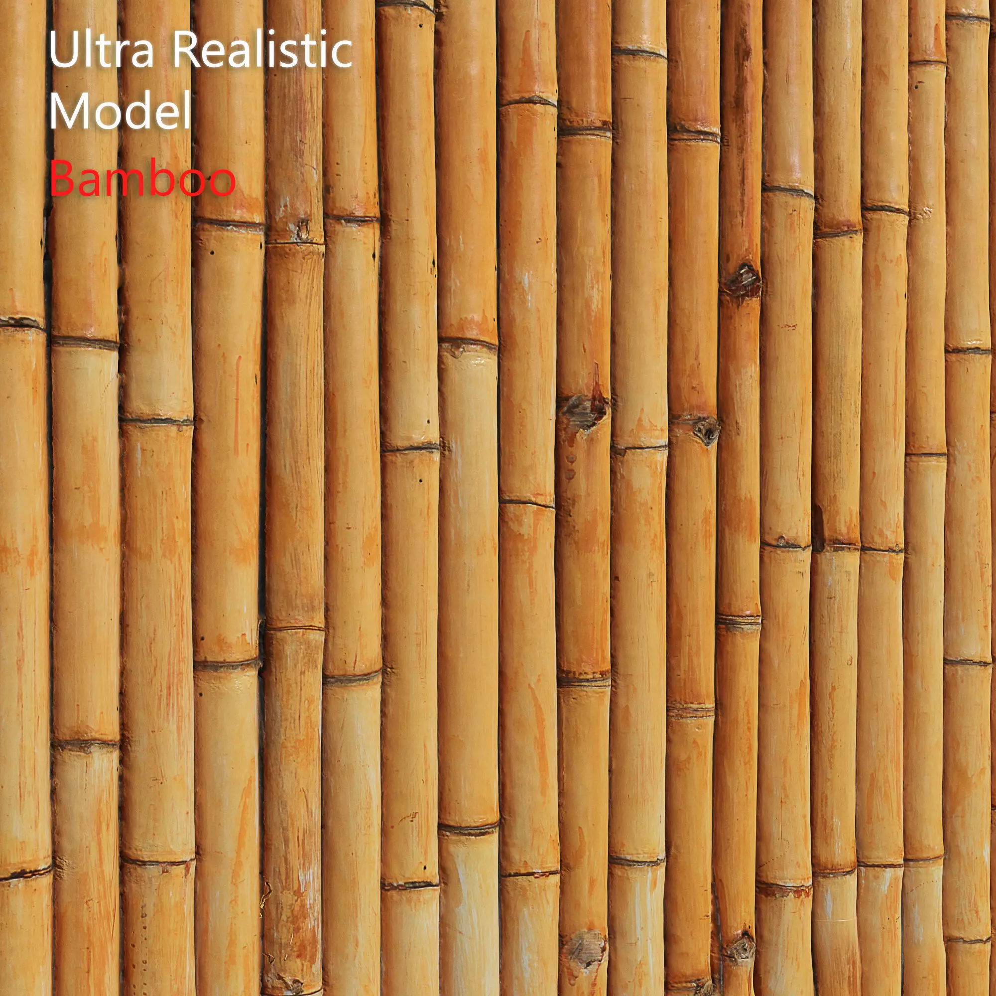 Ultra realistic Bamboo Fence 3D model_0