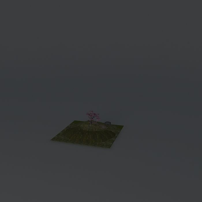 Japanese Cherry Prunus serrulata 3D model_1