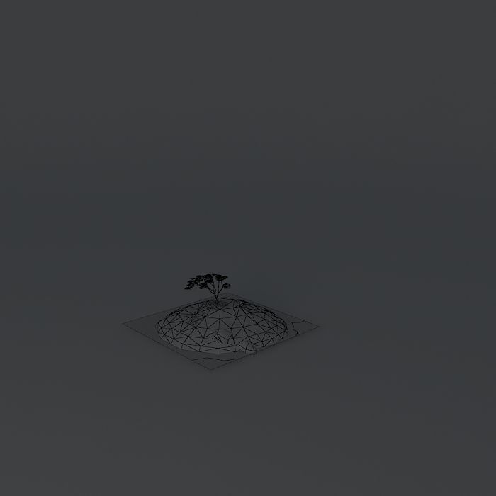 Japanese Cherry Prunus serrulata 3D model_3