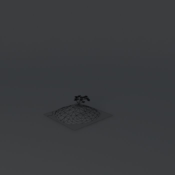 Japanese Cherry Prunus serrulata 3D model_4