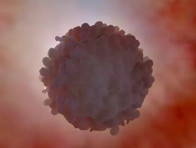 Cancer Cells 3D model