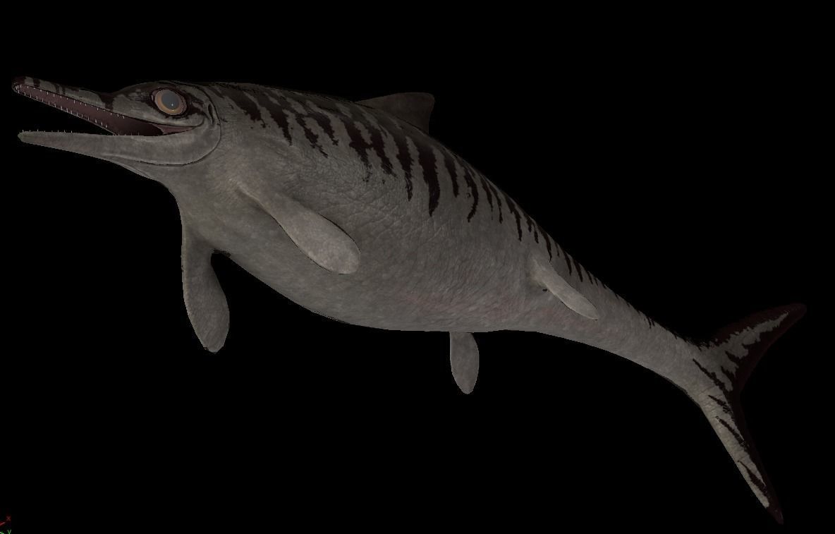 Ophthalmosaurus Asset Pack Low-poly 3D model_12