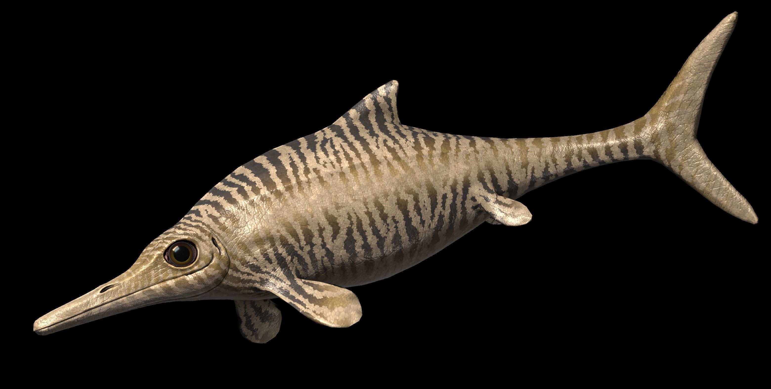 Ophthalmosaurus Asset Pack Low-poly 3D model_7