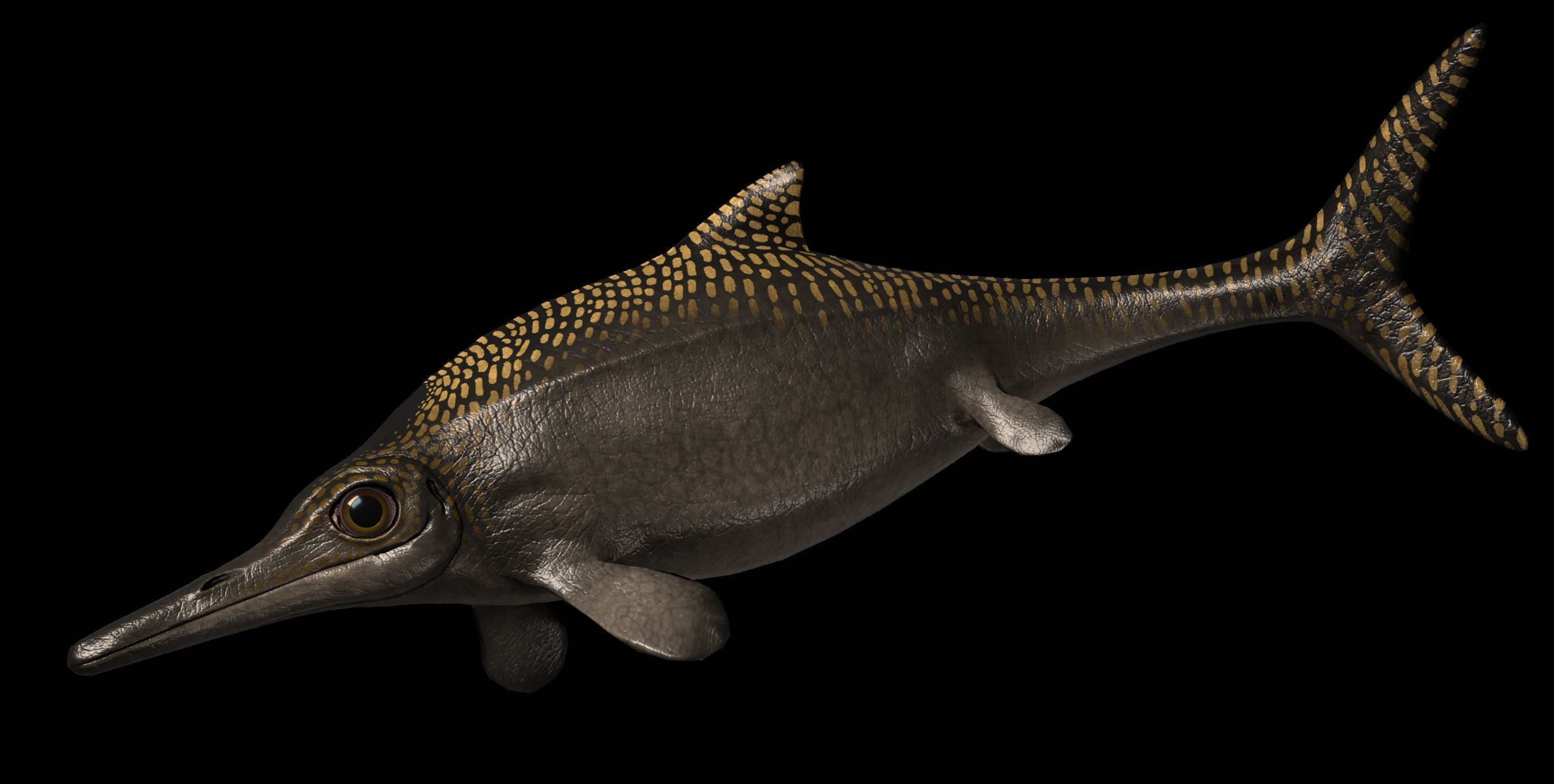 Ophthalmosaurus Asset Pack Low-poly 3D model_6