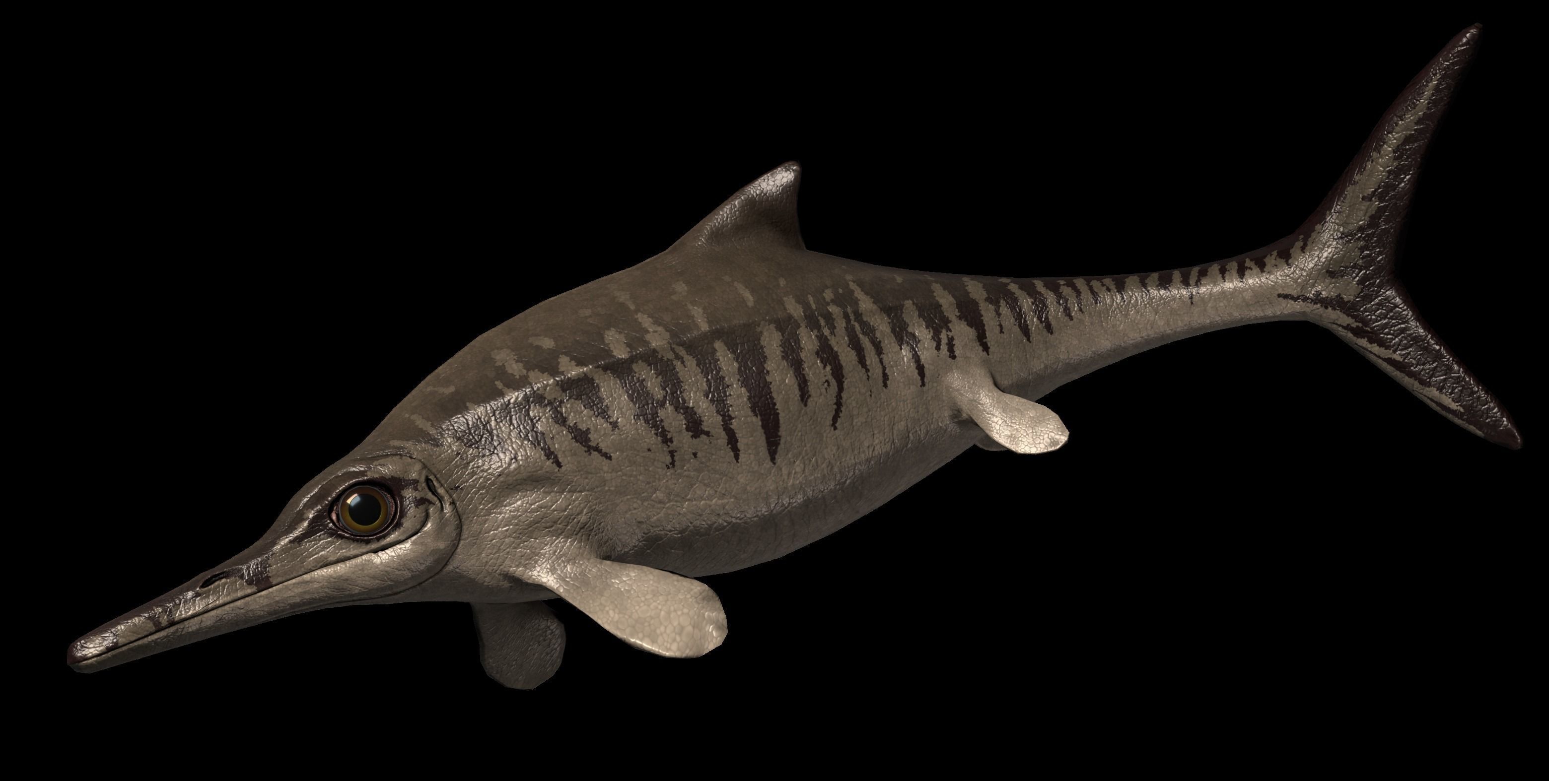 Ophthalmosaurus Asset Pack Low-poly 3D model_5