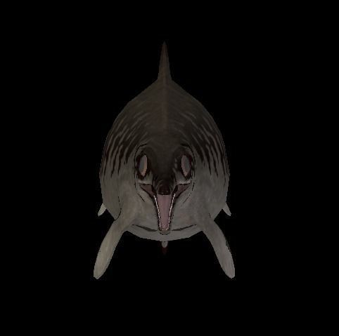 Ophthalmosaurus Asset Pack Low-poly 3D model_8