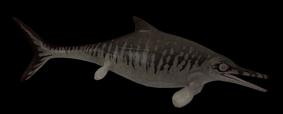 Ophthalmosaurus Asset Pack Low-poly 3D model_10