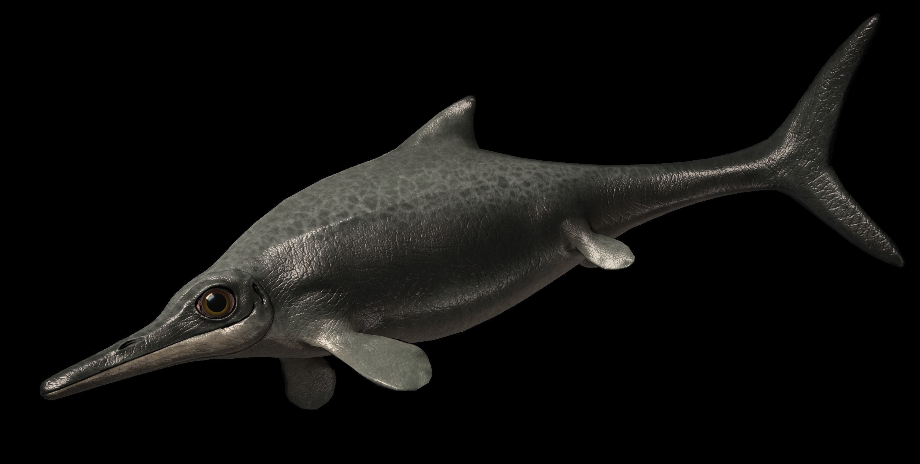 Ophthalmosaurus Asset Pack Low-poly 3D model_4