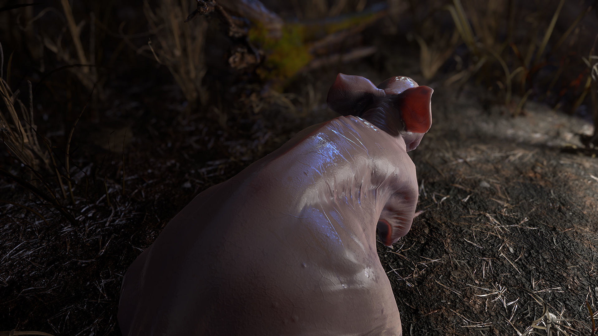 Fanged Mutant Rat Low-poly 3D model_15