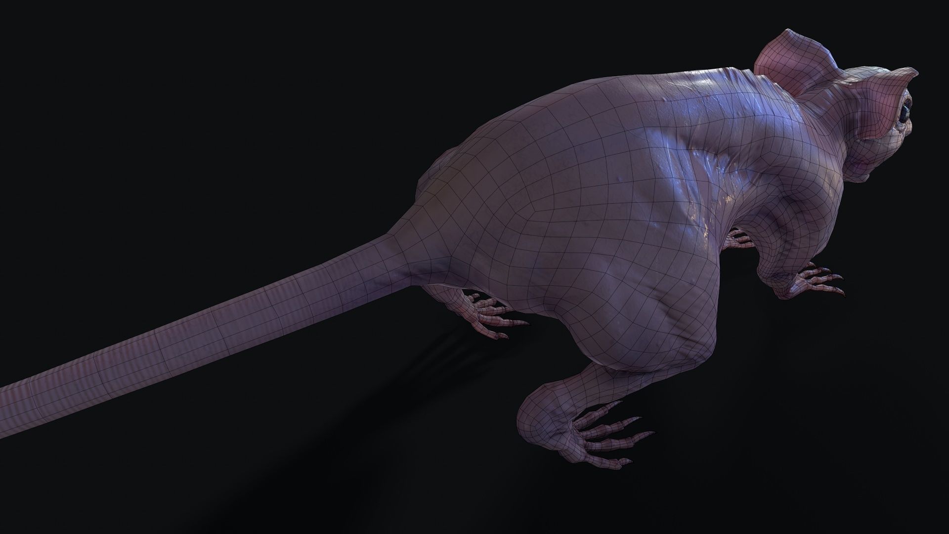 Fanged Mutant Rat Low-poly 3D model_28