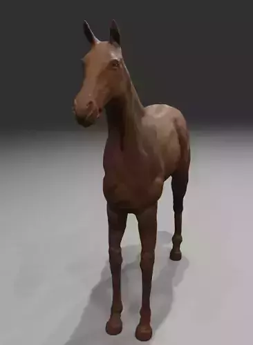 Horse model
