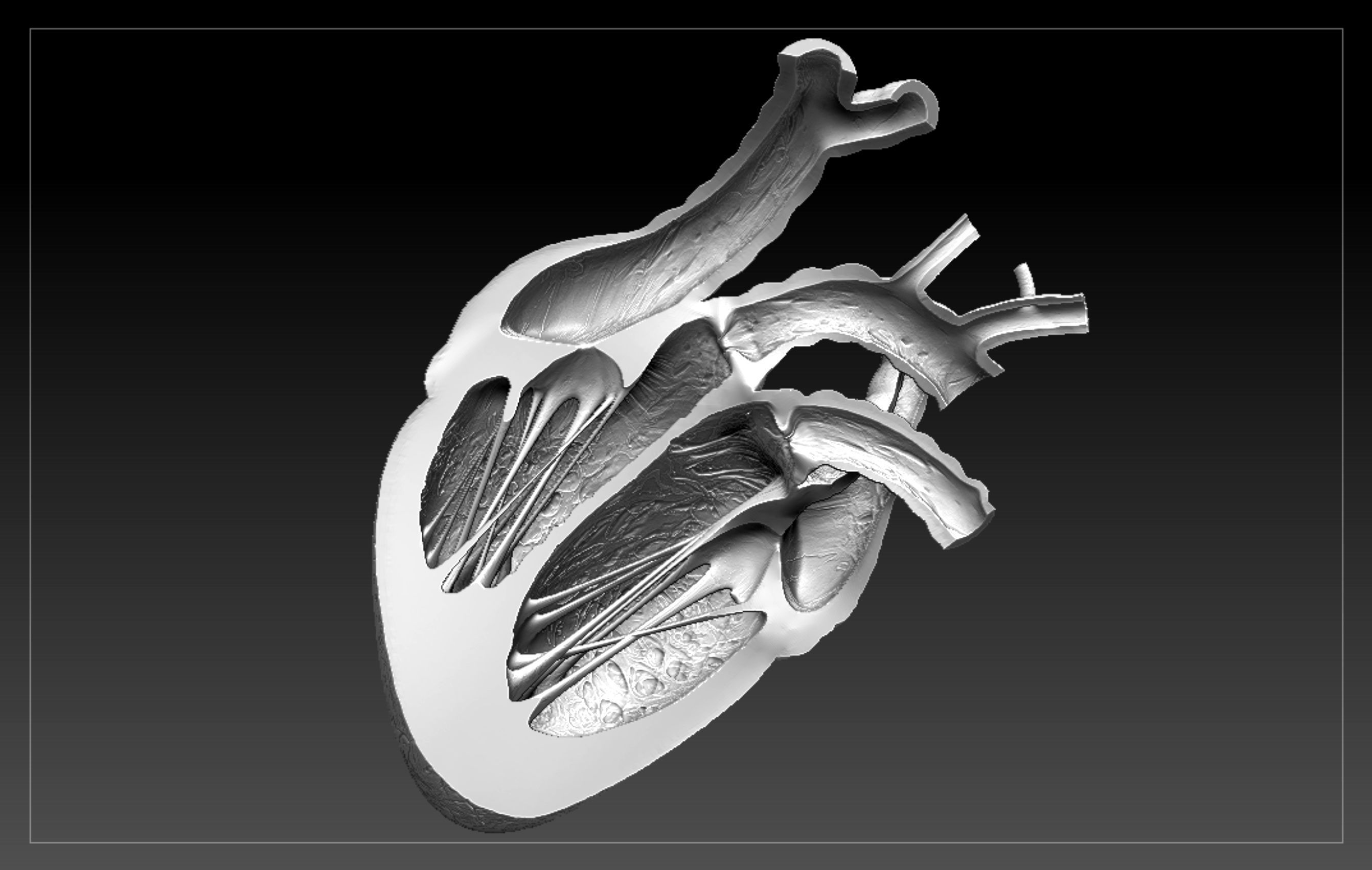 Heart Sliced STL 3D print model_2
