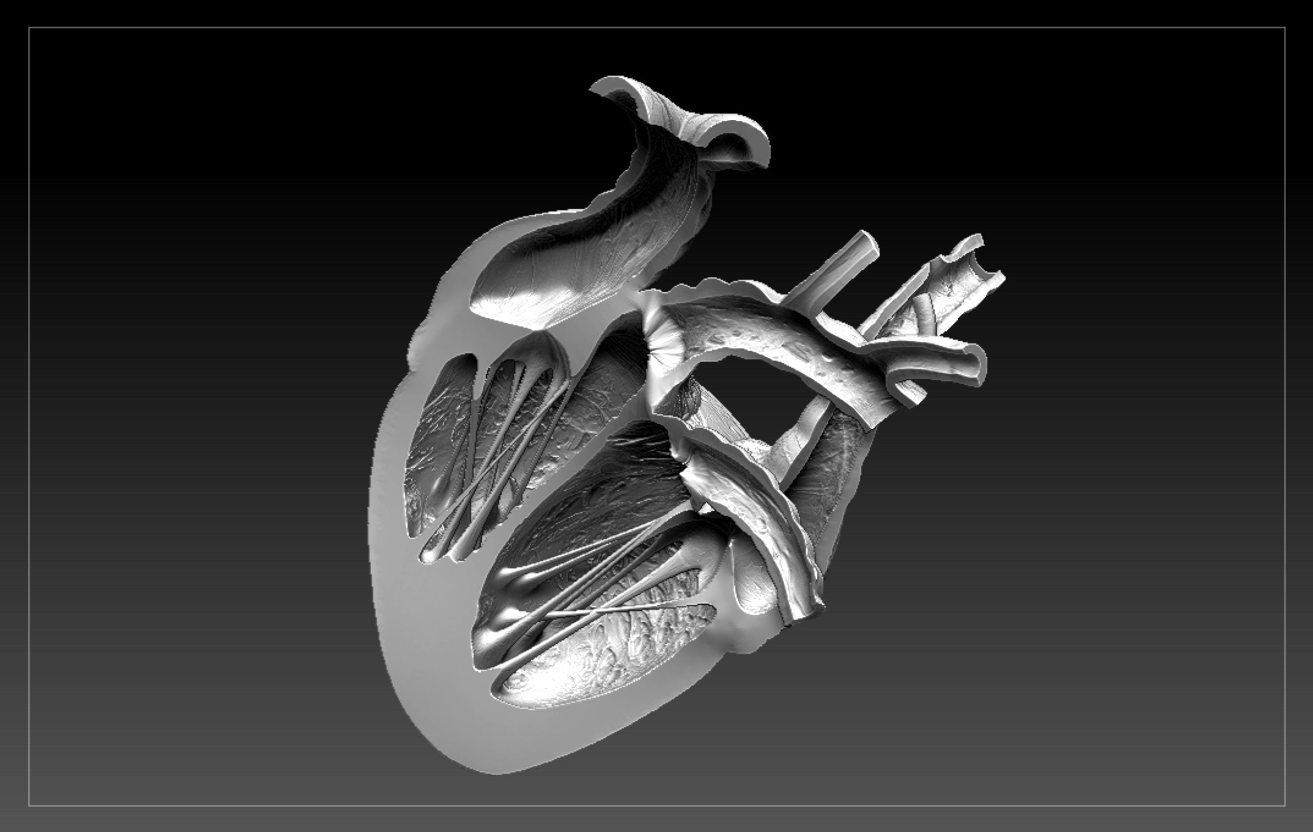 Heart Sliced STL 3D print model_1