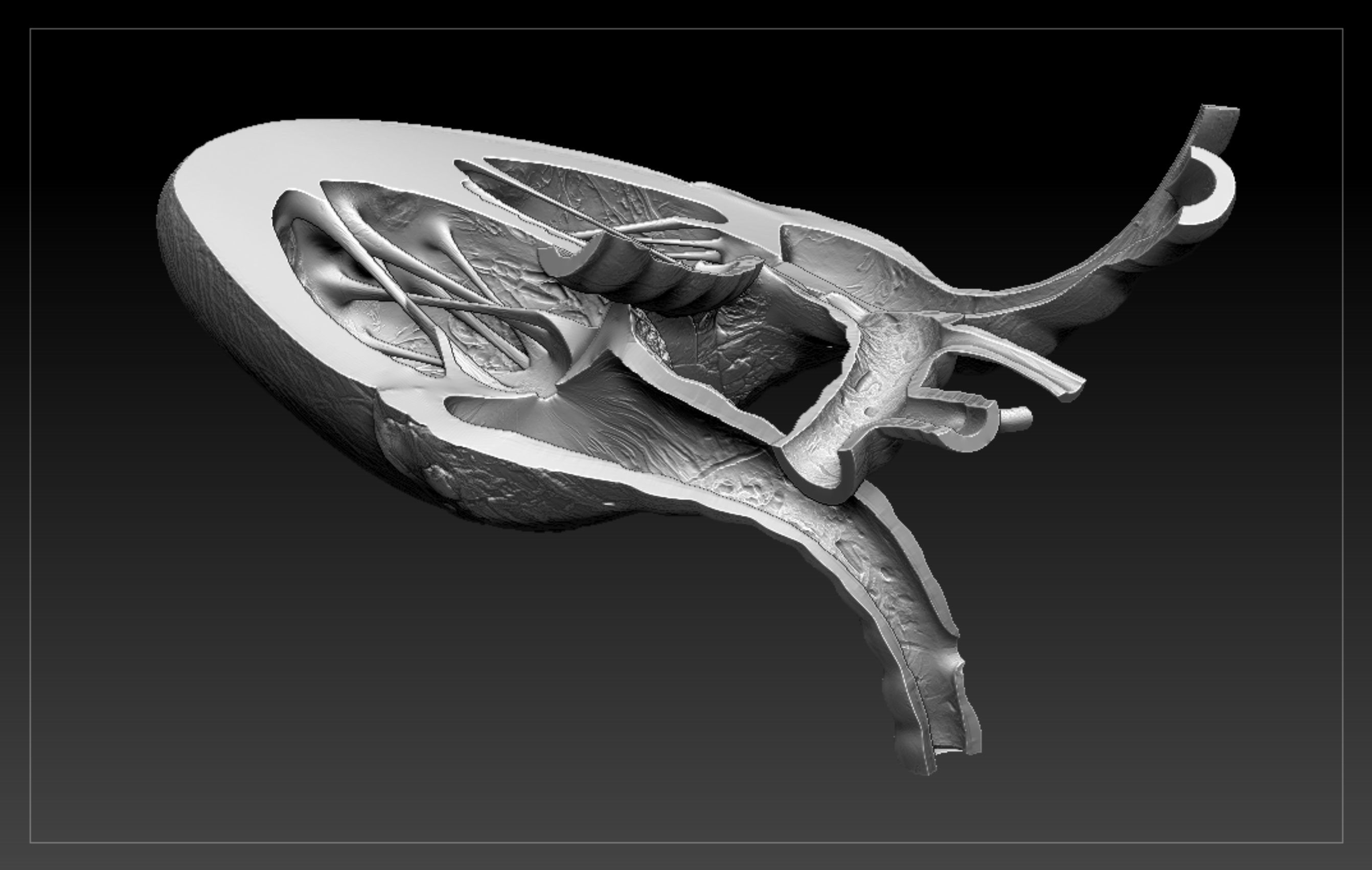 Heart Sliced STL 3D print model_3