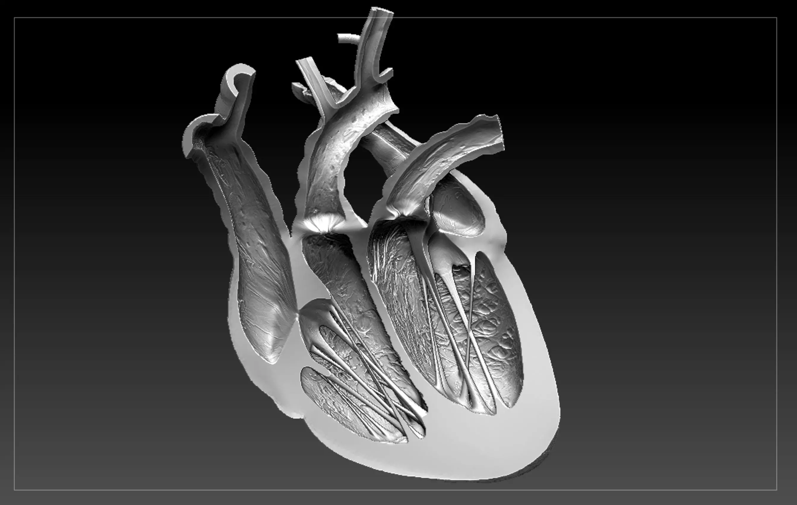 Heart Sliced STL 3D print model_0