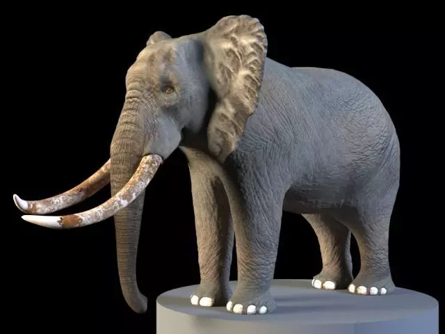 Elephant mammoth skull Low-poly 3D model