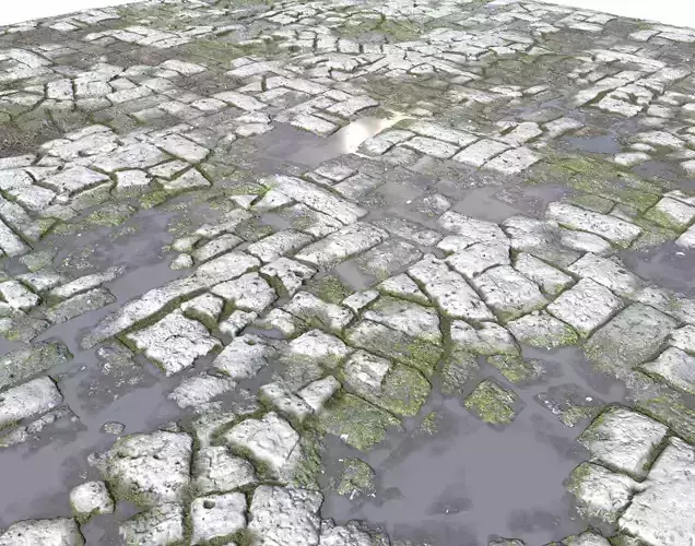 Old Mossy Floor Seamless 4 PBR