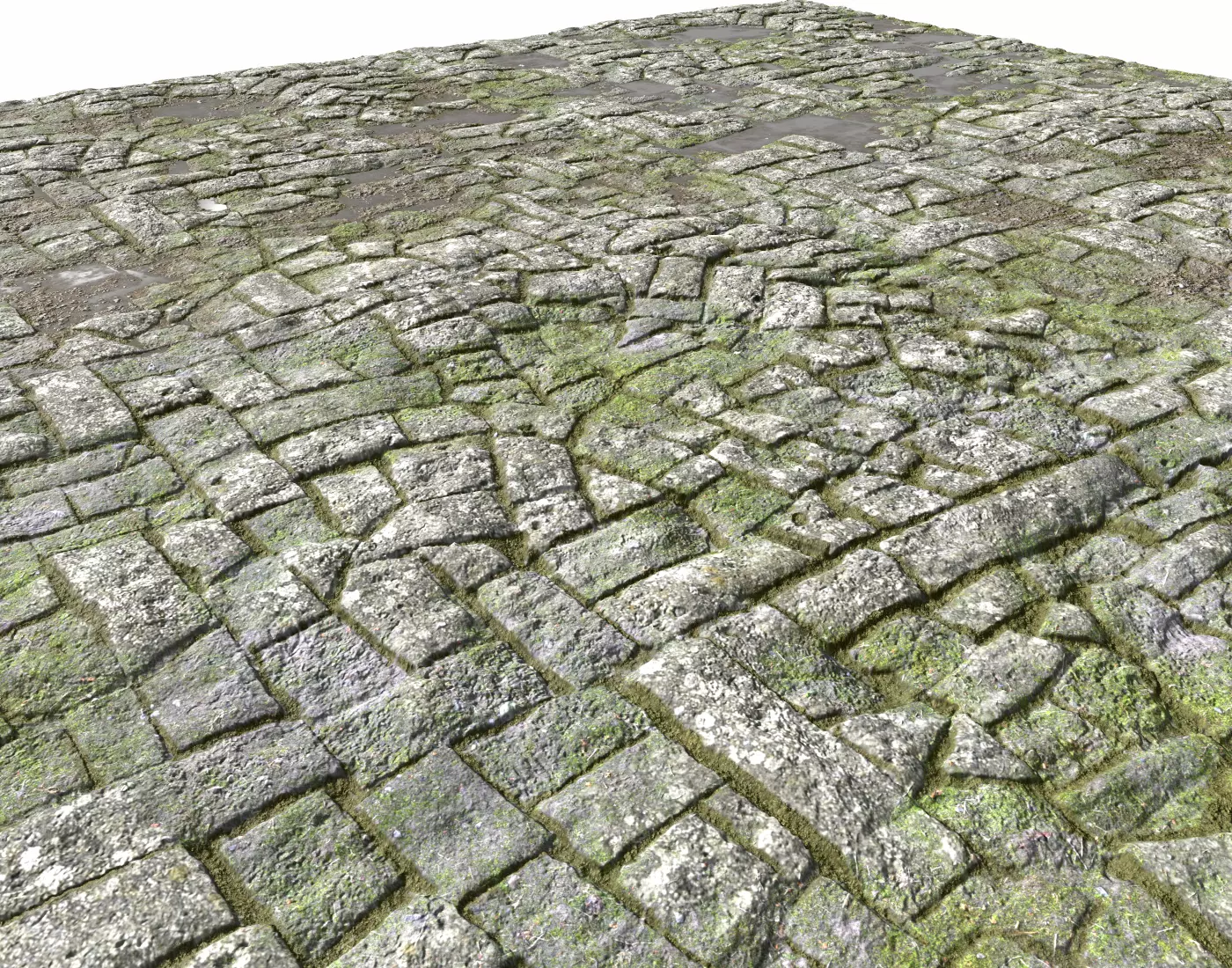 Old Mossy Floor Seamless PBR Texture