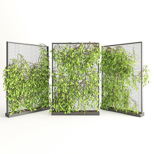 Planter With Plants-Ivy 2 3D model
