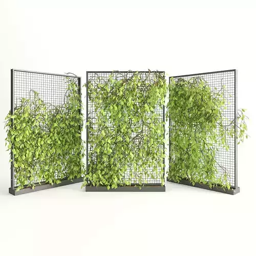 Planter With Plants-Ivy 2 3D model