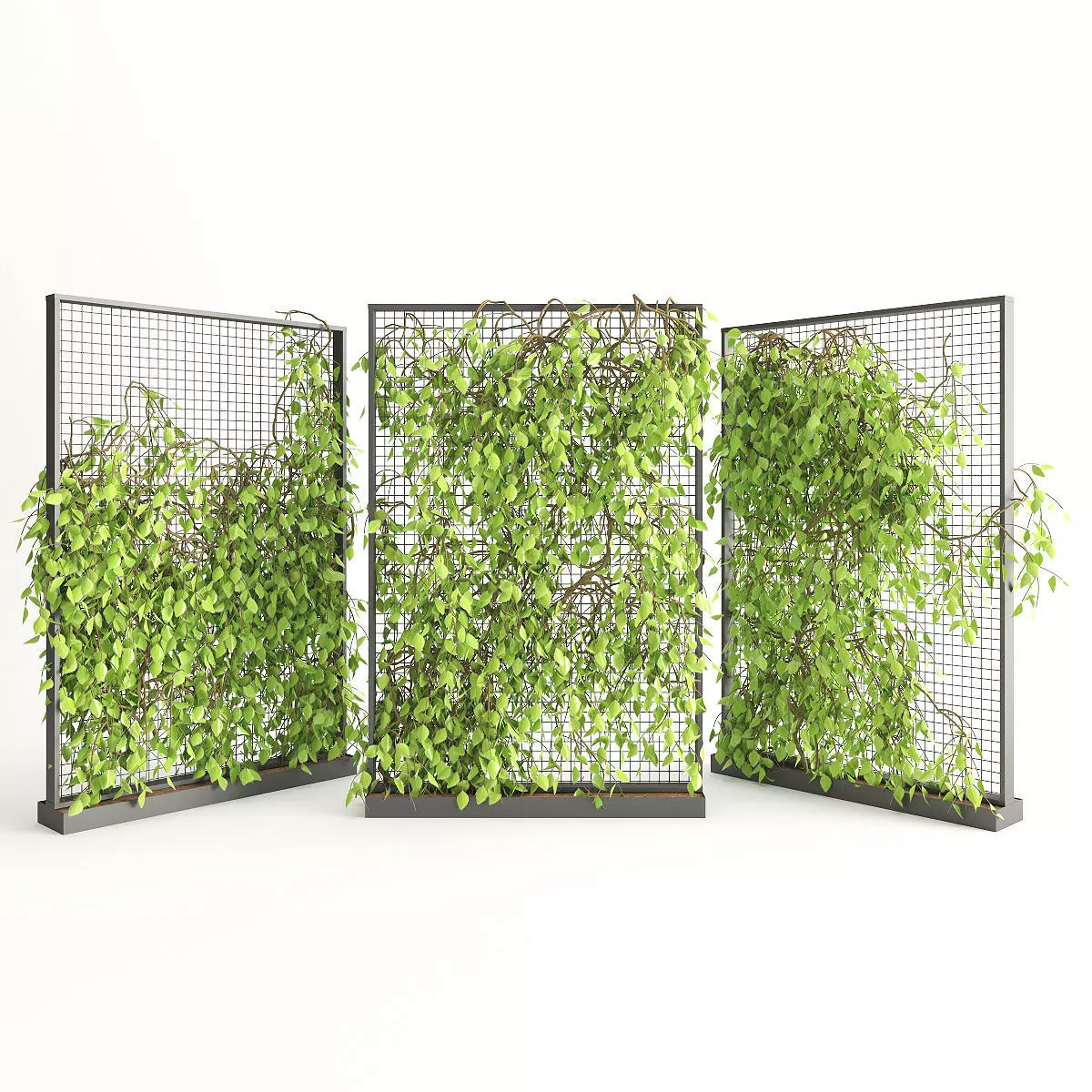 Planter With Plants-Ivy 2 3D model_0