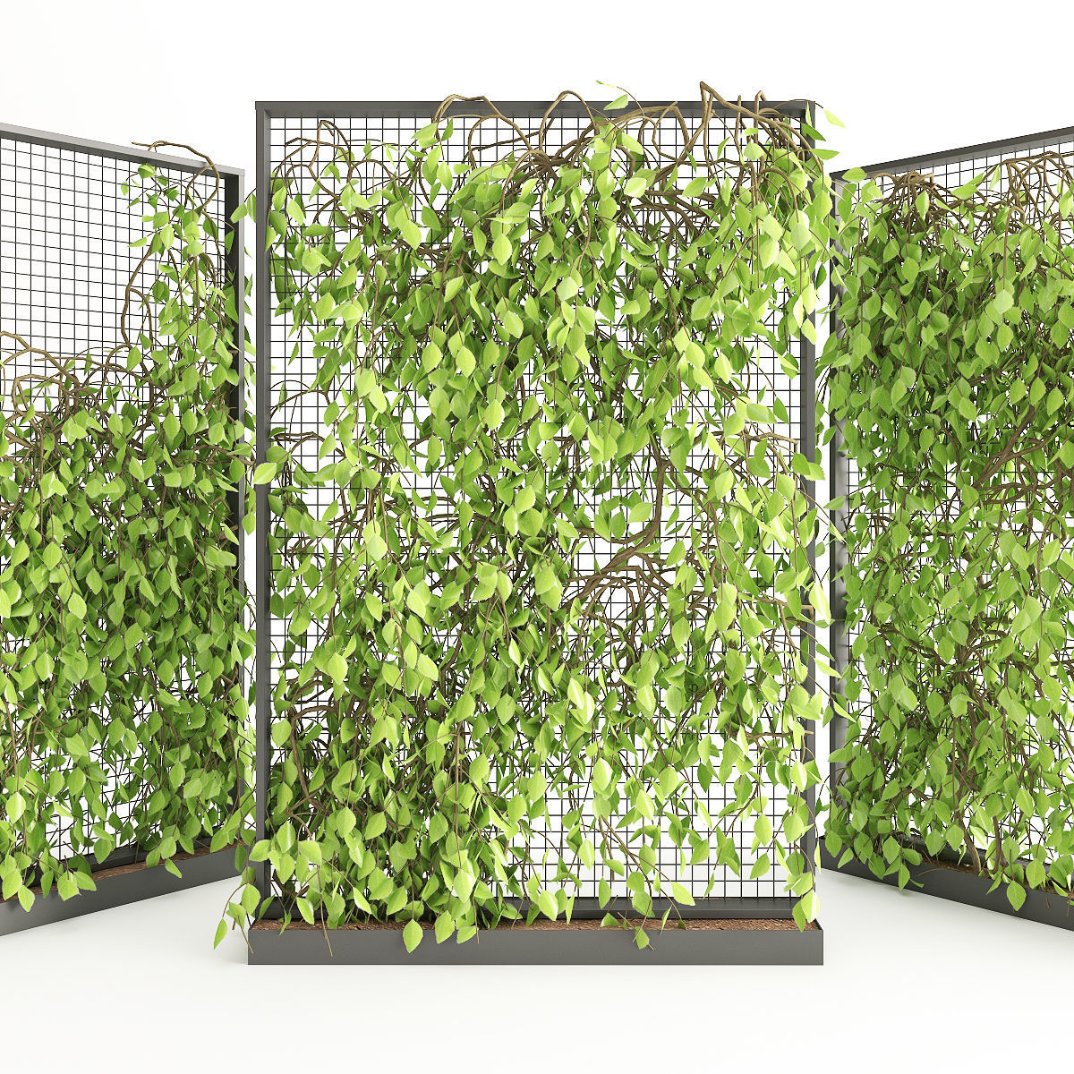 Planter With Plants-Ivy 2 3D model_1