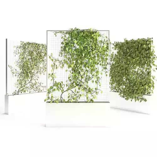 Planter With Plants-Ivy 3