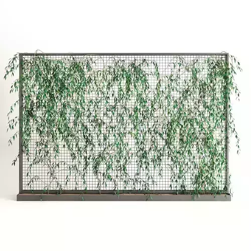 Planter With Plants-Ivy 4